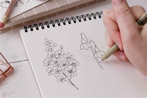 Image result for Easy Draw Spring
