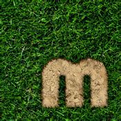 Mud Maps 的图像结果