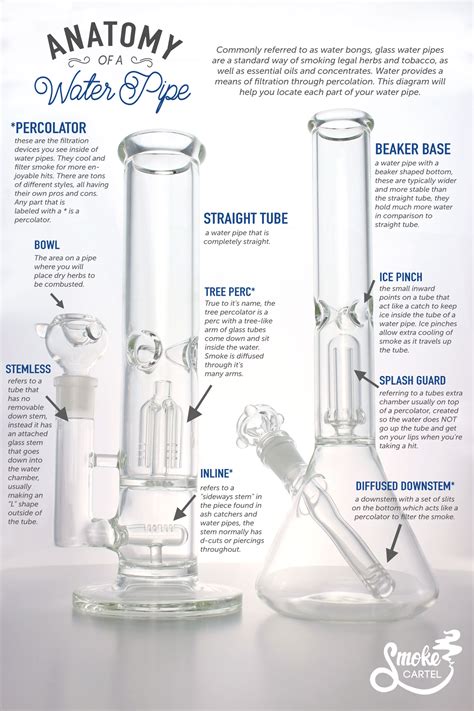 How Does a Bong Work? A Guide to the Water Pipe | Leafly