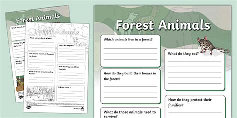 Forest Animals Fact File Template (teacher made) - Twinkl