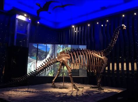 内蒙古博物馆|巨型恐龙化石查干诺尔龙_版权_霸主_蒙古包