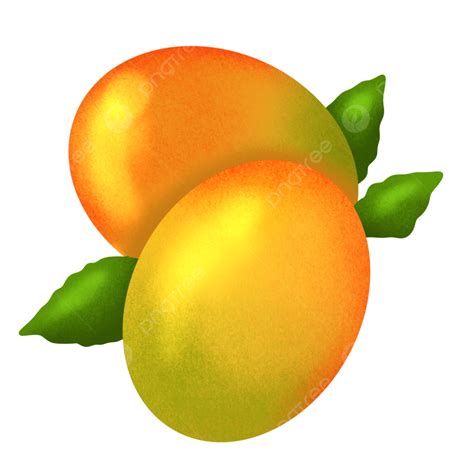Mango Hd Transparent, Mangoes, Fruit, Branch, Leaf PNG Image For Free ...