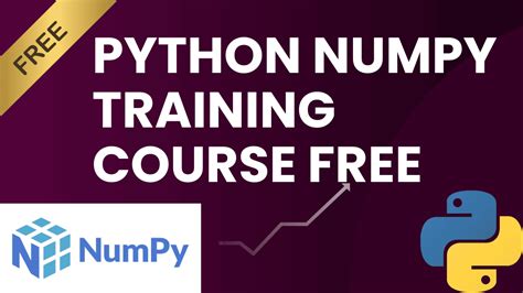 Image result for Numpy Full-Course 2025
