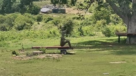 MATOLA PRIVATE GAME RESERVE (Komga) - Guesthouse Reviews & Photos ...