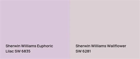 Sherwin Williams Euphoric Lilac SW 6835: 6 real home pictures