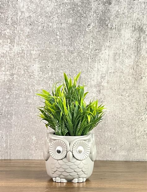 Buy Akaar Decor Artificial Fern Plant with Small Plastic Owl Pot for ...