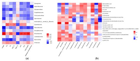 Kidney Bean Fermented Broth Alleviates Hyperlipidemic by Regulating ...