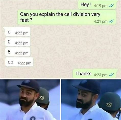 Funny Science 的图像结果