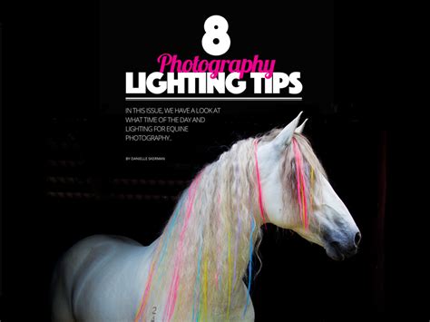 Image result for Lighting Camera Tips