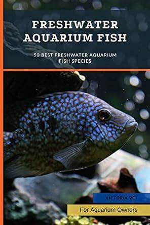 Freshwater Aquarium Fish: 50 Best Freshwater Aquarium Fish Species ...