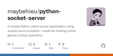 Socket Server Python 的图像结果