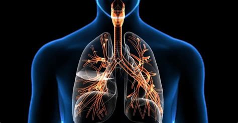 El papel de la respiración y la relajación