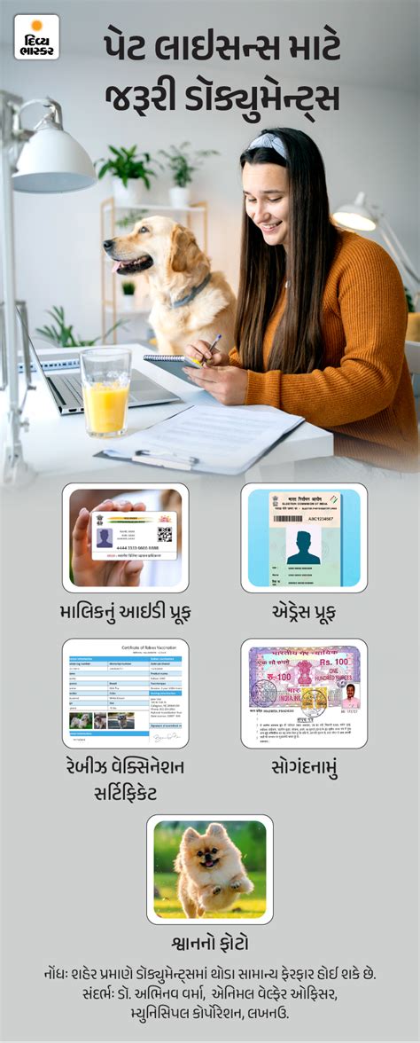pet dog registration process explained license rules documents