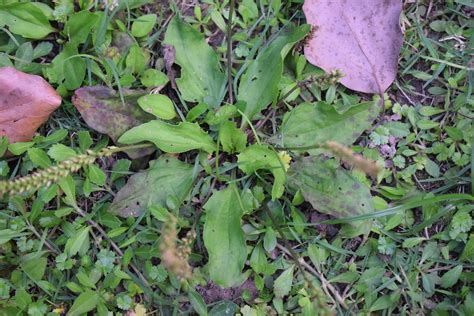 Image result for Rotated Object Detection