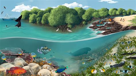 Ecosystem Of India