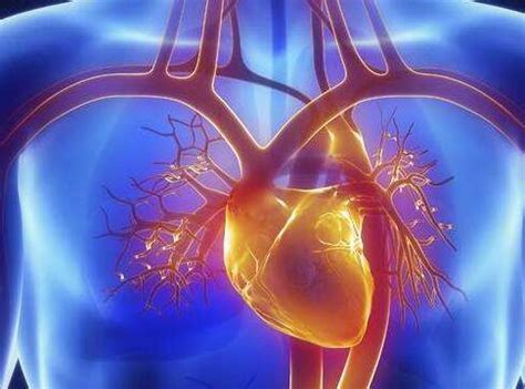 心脏每次收缩大约喷出70毫升的血液 - 心脏冷知识 | 趣知识