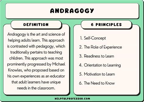 Image result for Adult Learning Principles