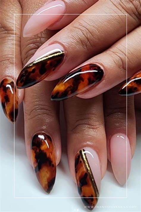 Image result for Tortoise Shell Manicure