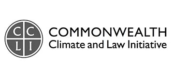 CCLI Report Launch and Reception