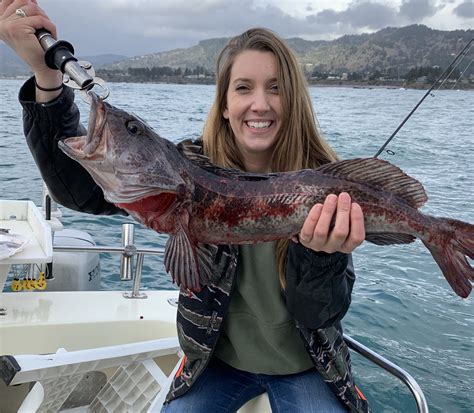 Lingcod Fishing Brookings Oregon - Garden And Fishing