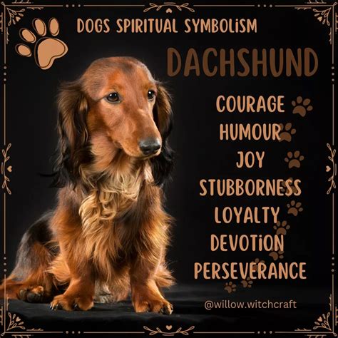 Dogs spiritual symbolism – Artofit