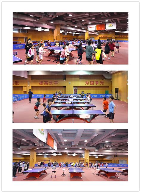 开启人生新赛场，131名上海优秀运动员退役