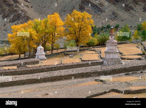 Image result for Chorten Python