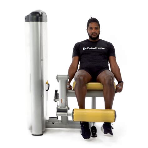 Dumbbell Russian Twist - Trainwell