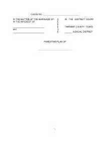 Parenting Plan Kansas Form - Fill and Sign Printable Template Online