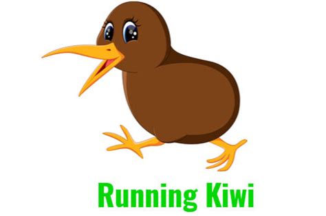 Image result for Kiwi Netrunner