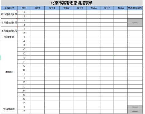 重庆2021年新高考志愿表（模拟填报用）_模板