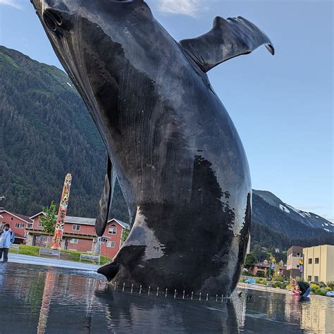 JUNEAU HOTEL - 2026 Hotel Reviews, Photos, Rate Comparison - Tripadvisor