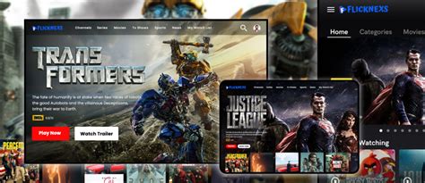 Image result for Streaming Webiste