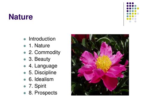 Nature Emerson 的图像结果