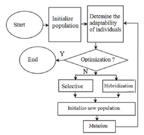 Image result for Genetic Algorithm Visualization