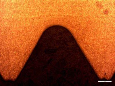 Thread Rolling Basics 的图像结果