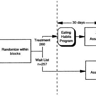 Randomized Experiment 的图像结果