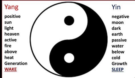 Ying and Yang,TCM,Traditional Chinese Medicine