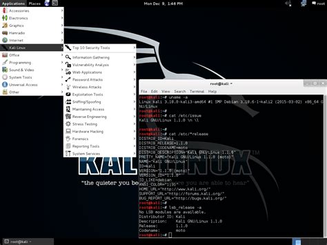 Image result for Large Kali Linux