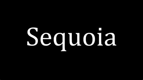 Sequoia Meaning And Pronunciation at Emma Spyer blog