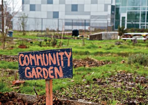 St. Aidan Community Garden Project – Our Canada Project