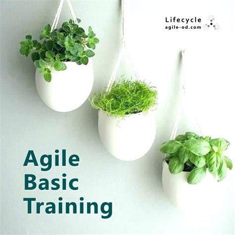Image result for Basic Agile Tutorial