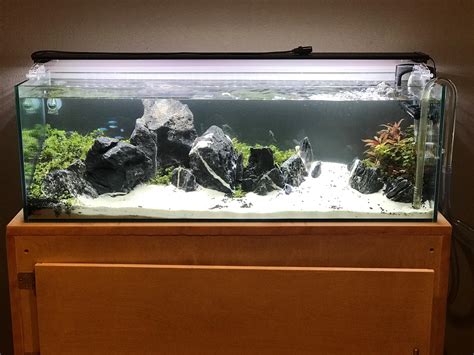 How Large Is A 30 Gallon Fish Tank at Humberto Watts blog