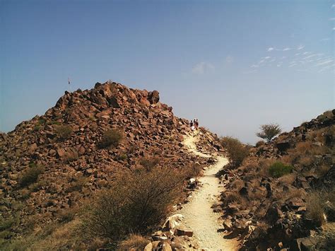 CAMP SHADES - Adventure Ready Filters for Camp Snap