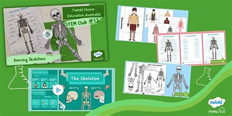 Skeletal System Lesson Plan | Home Educators | Twinkl