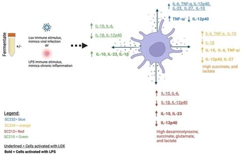 Novel Dairy Fermentates Have Differential Effects on Key Immune ...