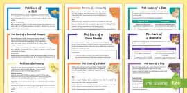 Indian Flag Differentiated Reading Comprehension Activity