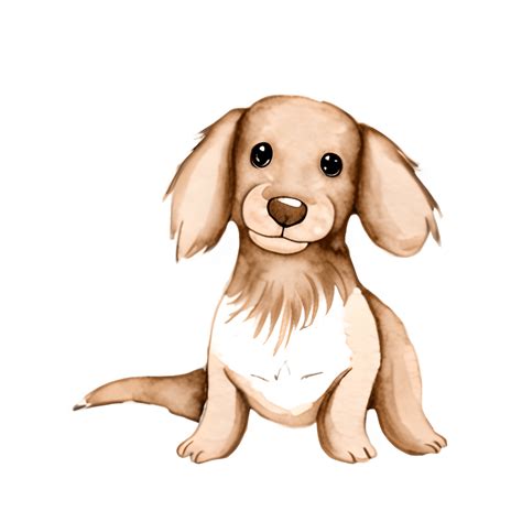 Blonde Long Haired Dachshund Graphic · Creative Fabrica