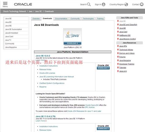 Java JDK 1.6 Download 的图像结果
