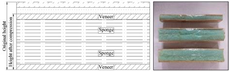 Deformation Behavior of Hard Roofs in Solid Backfill Coal Mining Using ...